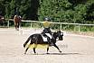 Samstag E Dressur