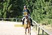 Samstag E Dressur
