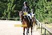 Samstag E Dressur