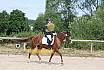 Samstag A Dressur