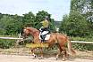 Samstag A Dressur