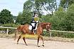 Samstag A Dressur