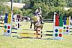 Samstag Stilspringwettbewerb