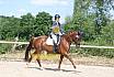 Samstag A Dressur