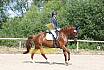 Samstag A Dressur