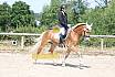 Samstag A Dressur