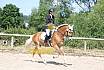 Samstag A Dressur