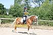 Samstag A Dressur