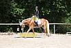 Samstag A Dressur