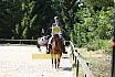 Samstag A Dressur