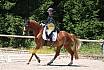 Samstag L Dressur