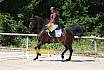Samstag L Dressur