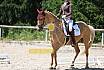 Samstag L Dressur