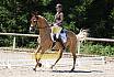 Samstag L Dressur