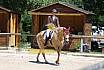 Samstag L Dressur