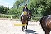 Samstag L Dressur