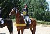 Samstag L Dressur