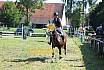 Samstag Springpferde A 