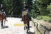Samstag L Dressur
