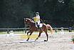 Samstag S Dressur 