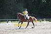 Samstag S Dressur 