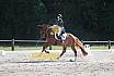 Samstag S Dressur 