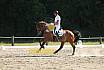 Samstag S Dressur 