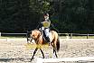 Samstag S Dressur 