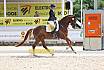 Samstag Quali Bundeschampionat