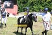 Sonntag F&uuml;hrz&uuml;gel