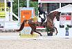 Samstag Quali Bundeschampionat