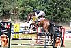 Samstag L Springen