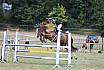 Samstag L Springen