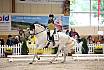 Samstag Reiterwettbewerb