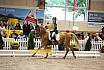 Samstag Reiterwettbewerb