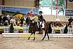 Samstag Reiterwettbewerb