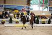 Samstag Reiterwettbewerb