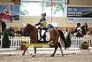 Samstag Reiterwettbewerb