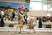 Samstag Reiterwettbewerb