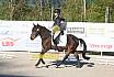 Samstag E Dressur
