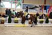 Samstag Reiterwettbewerb