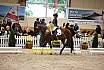 Samstag Reiterwettbewerb