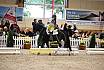 Samstag Reiterwettbewerb