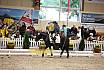 Samstag Reiterwettbewerb