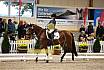Samstag Reiterwettbewerb