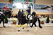 Samstag Reiterwettbewerb