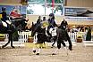 Samstag Reiterwettbewerb