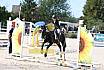 Sonntag Springreiter WB