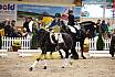 Samstag Reiterwettbewerb