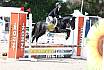 Sonntag Springreiter WB